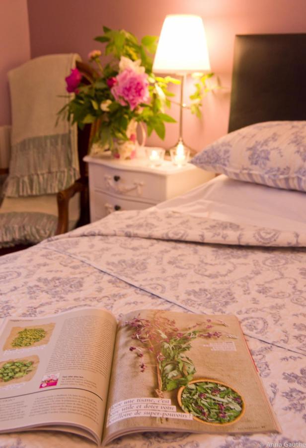 생트 앙토낭 비앤비 비건 앤 베지 B&B 외부 사진